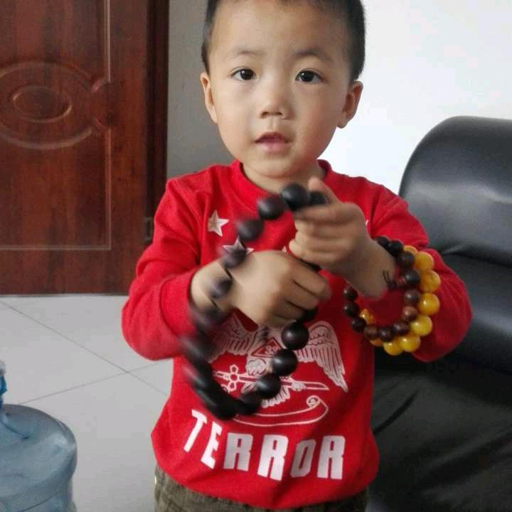 鑫鑫辽原