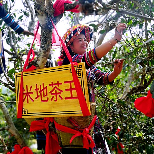 小建达(米地姑娘）