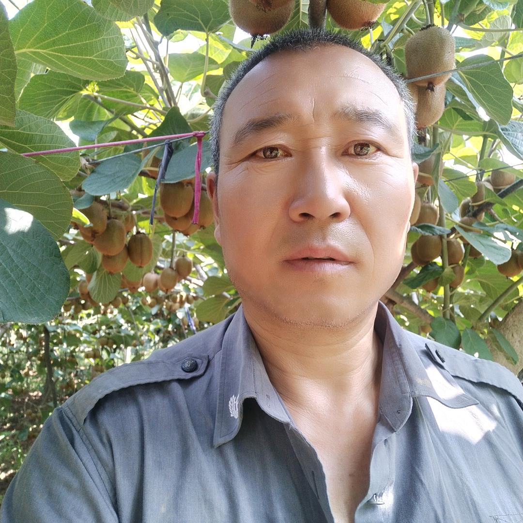 眉县徐香种桃哥