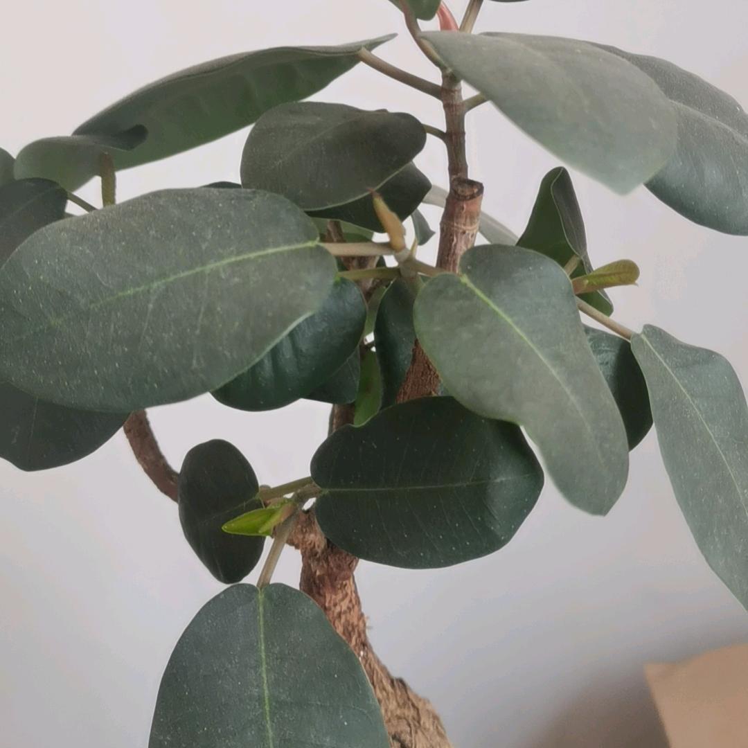 昆明大方二手车.小孔