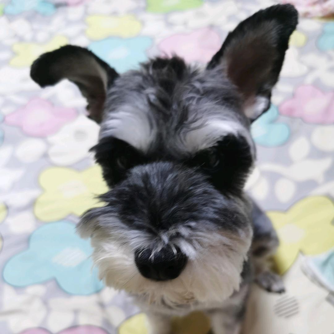 锦州广东广泰家具、宝地家具大世界2层