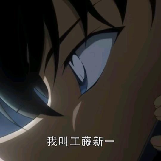毛黑黑