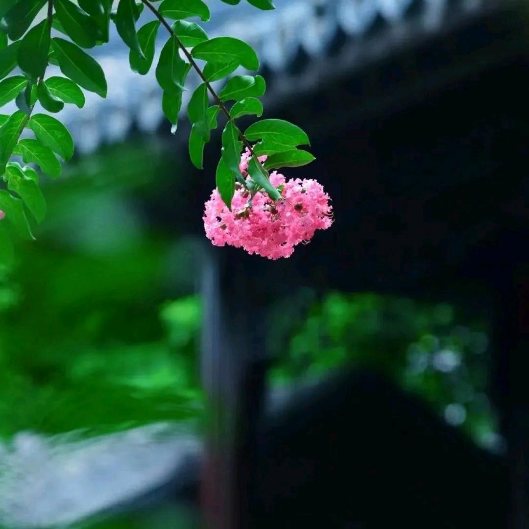 彬哥