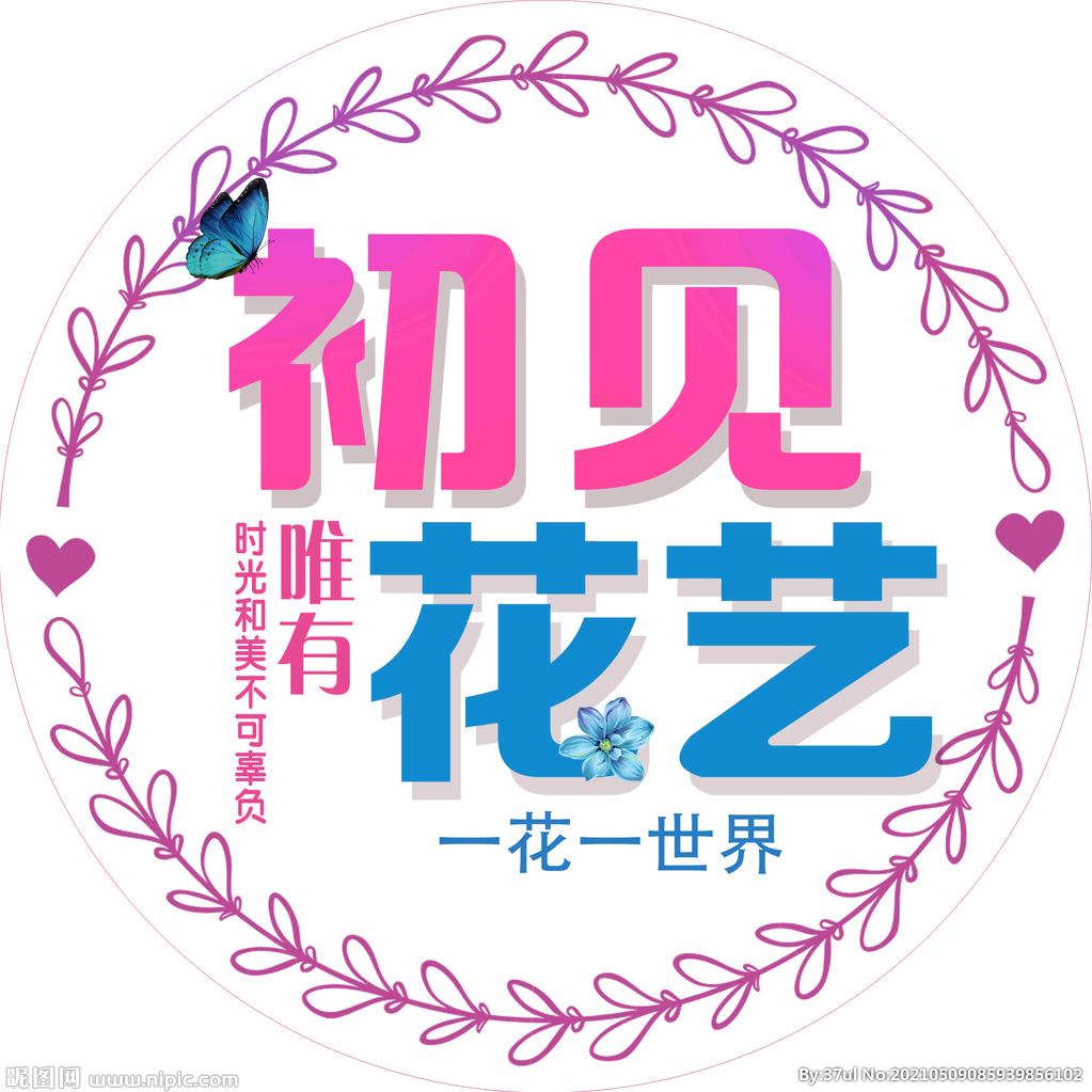 初见☘盆景绿植花卉