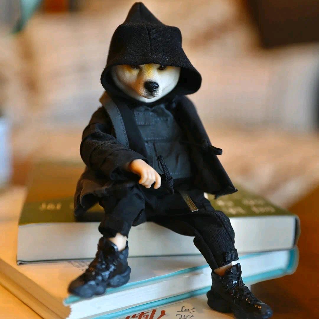 自从厌倦于追寻