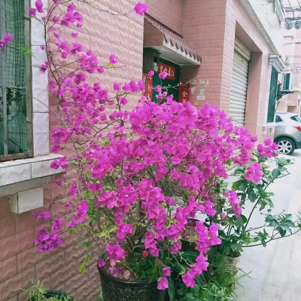 冬天的太阳
