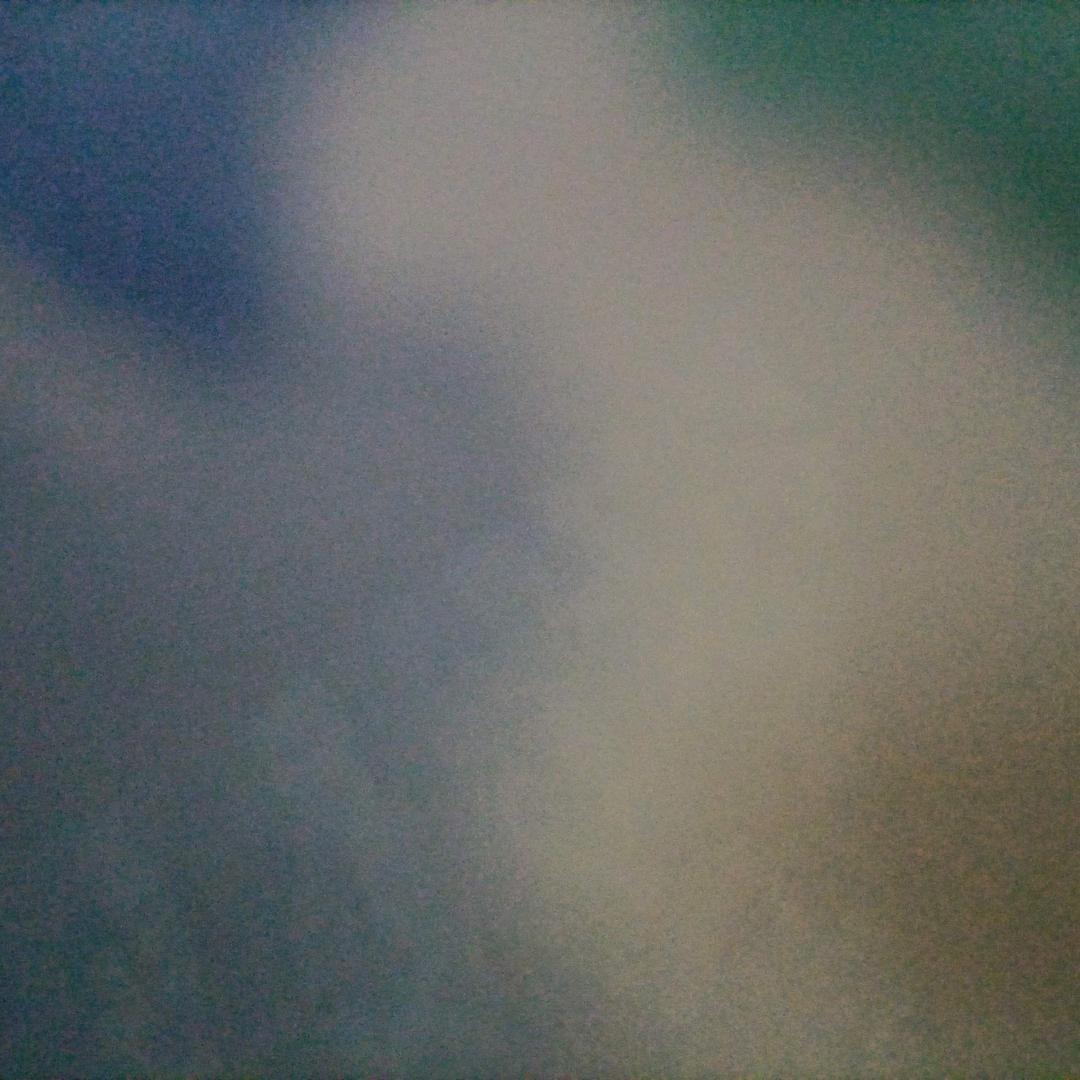 左右分清