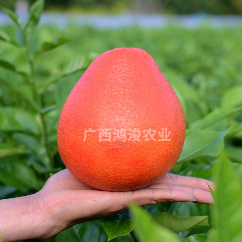 容县鸿浚农业有限公司