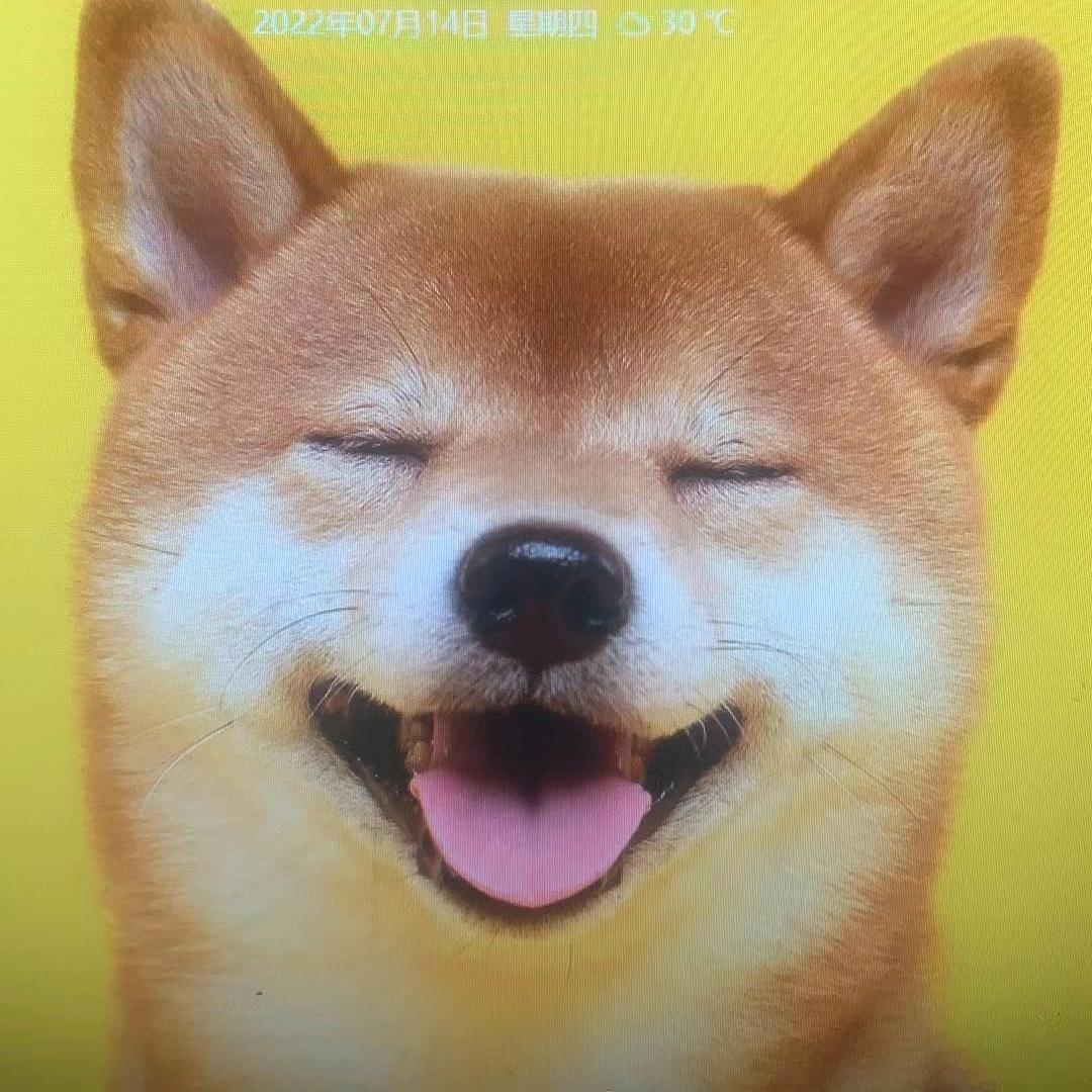 奔跑的旺猴