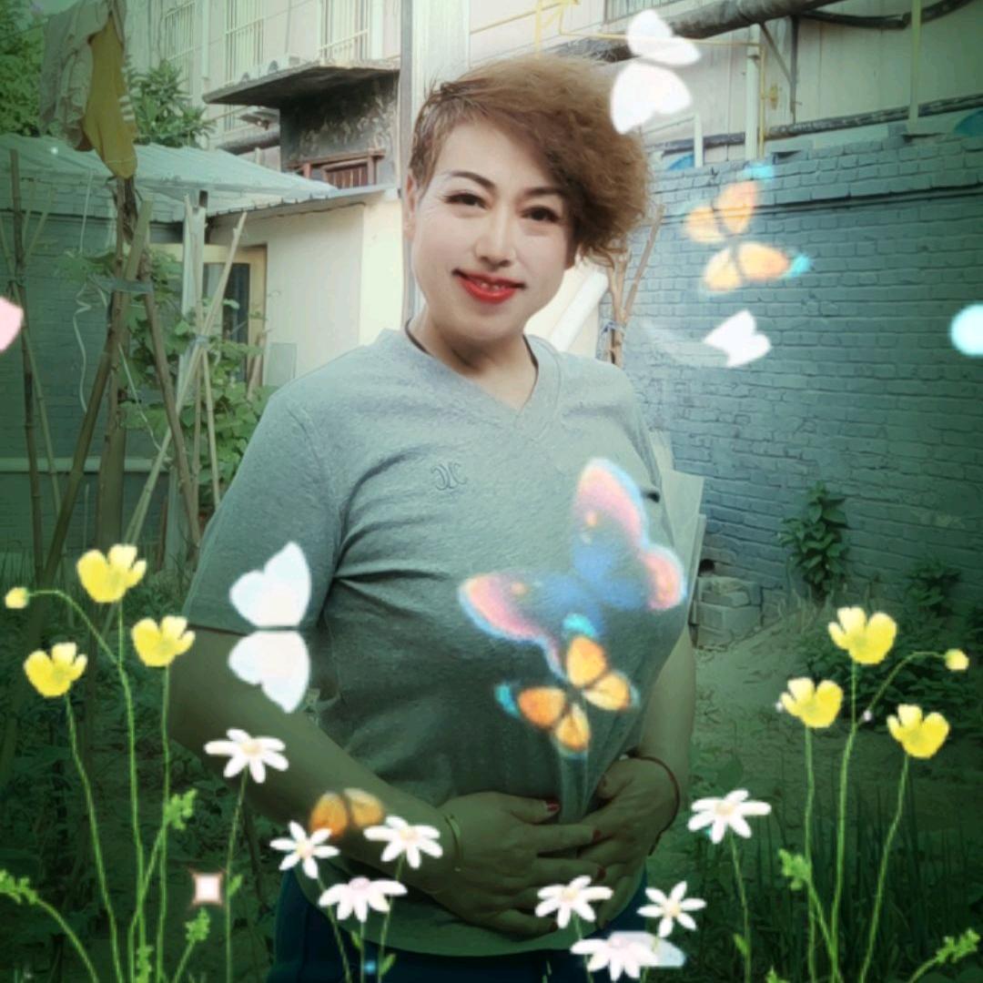 坦然岚姐（685）