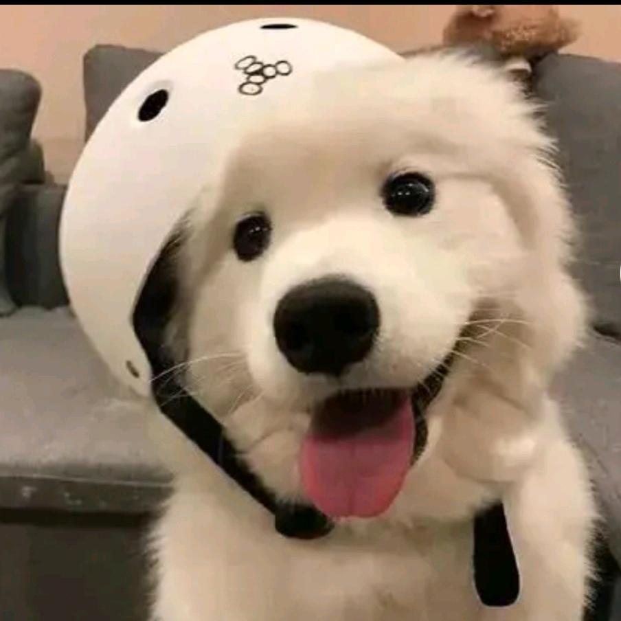 三百