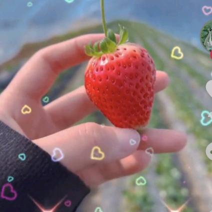 🌻简单🌹的幸福🍓🍓