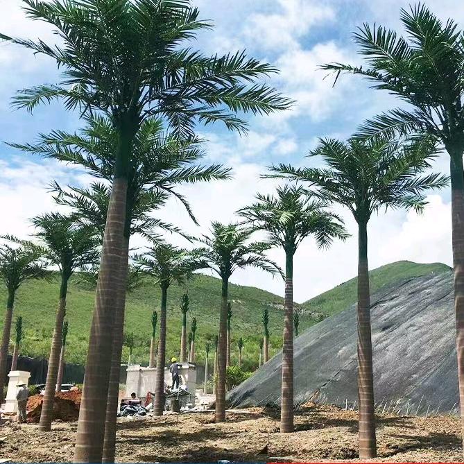 创新景观仿真树