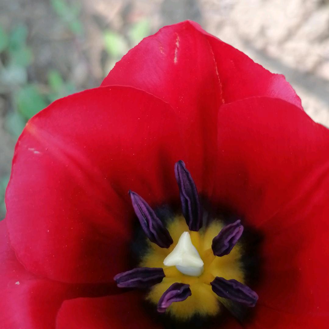 快乐每一天（拒绝私聊）