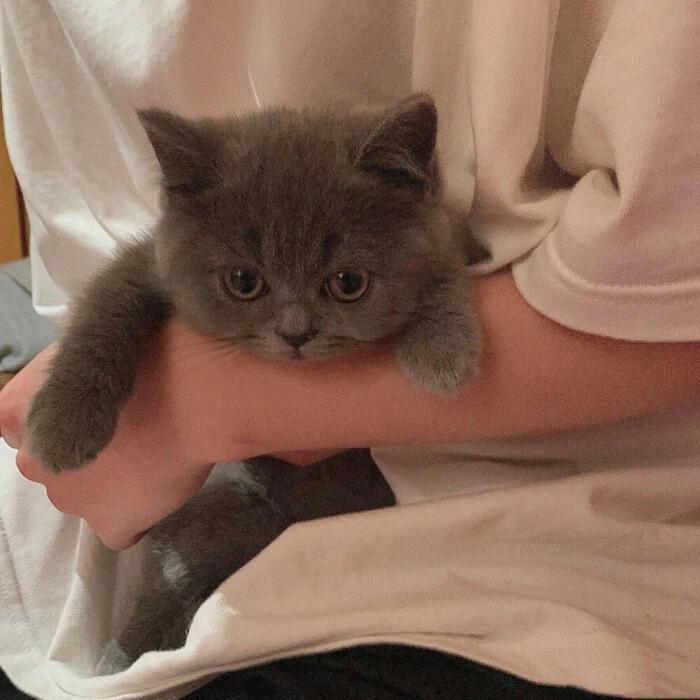 呼呼