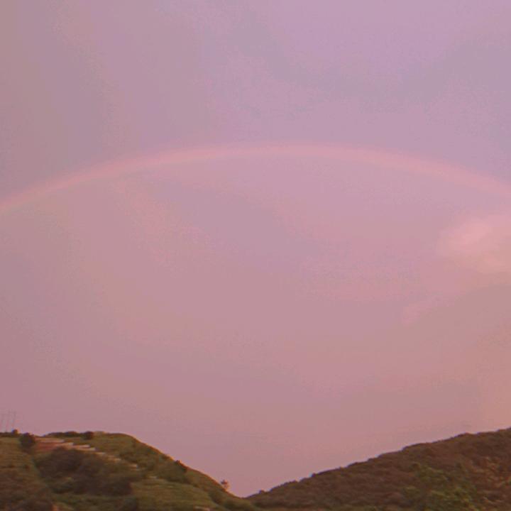小确幸