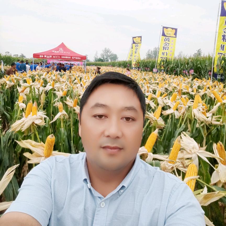 徐州（智琪农业）@昆哥