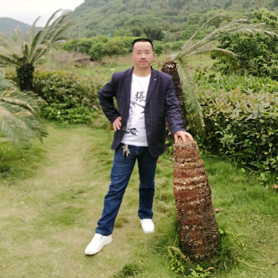 平哥(心累谁知)