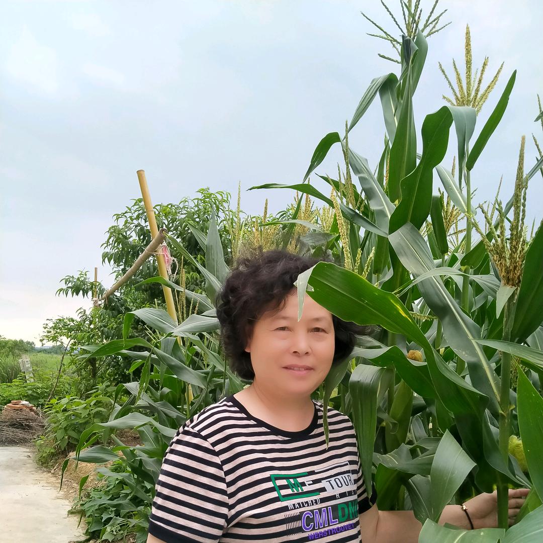 开心姐🎤（首播）