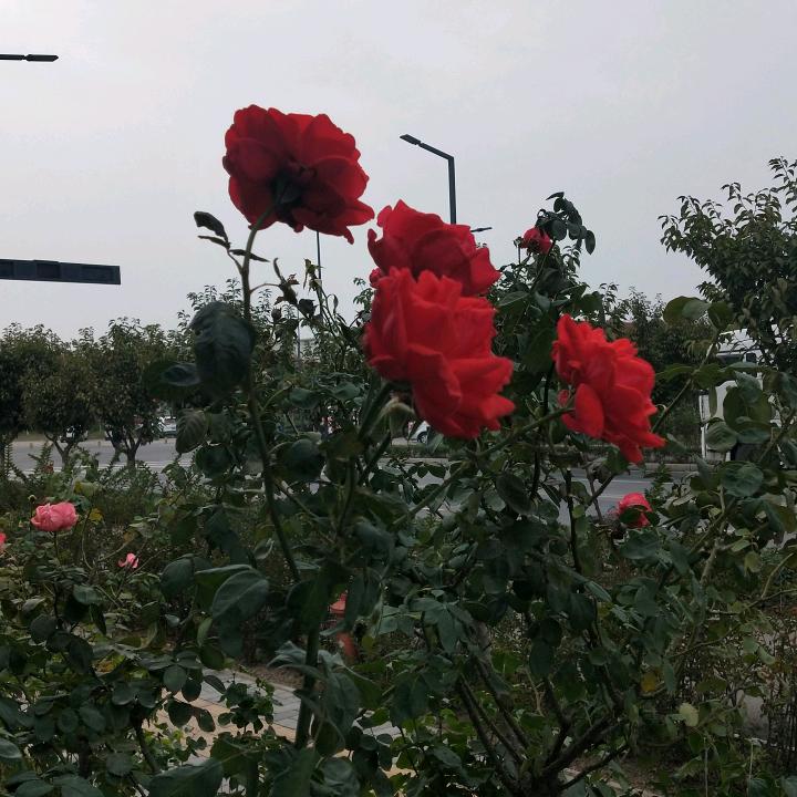 不经他人苦，勿劝他人善