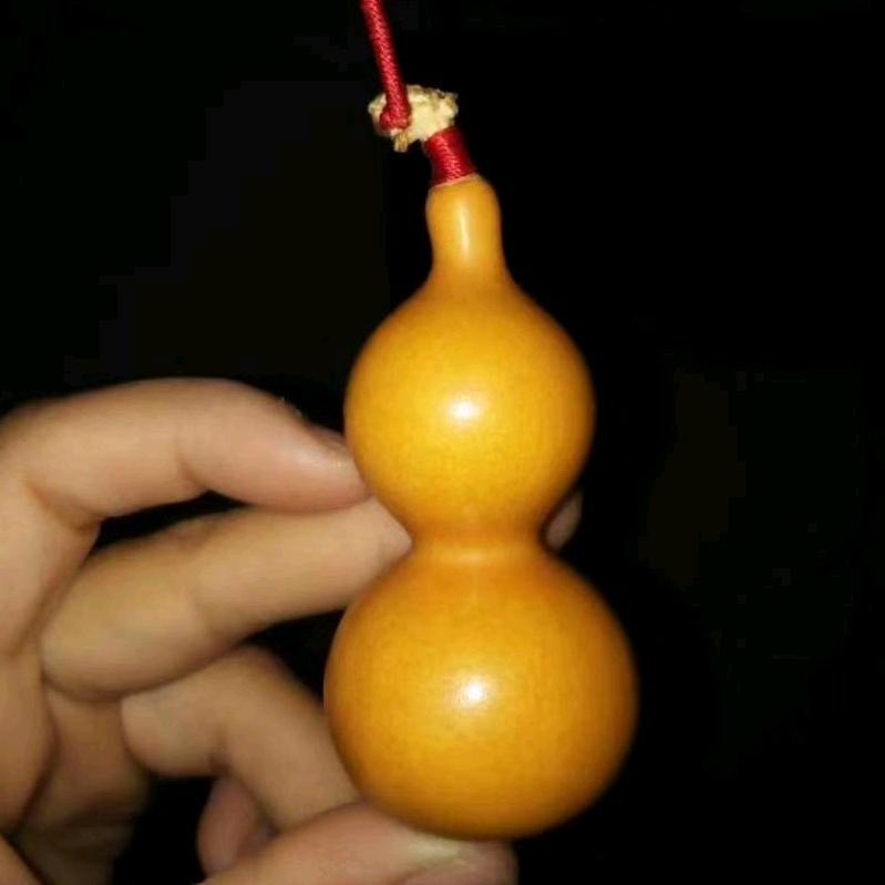 二两小趴菜『又菜又爱玩』