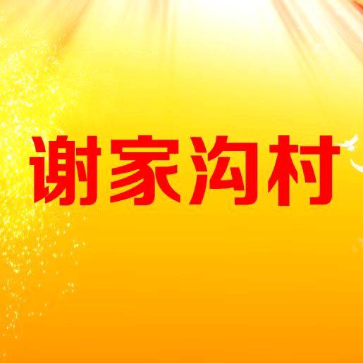 谢家沟宣传