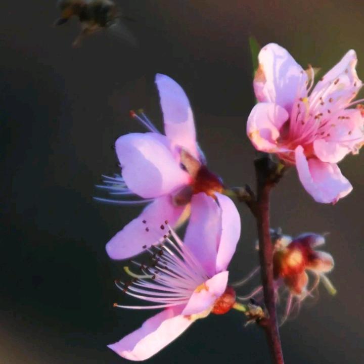 漫天