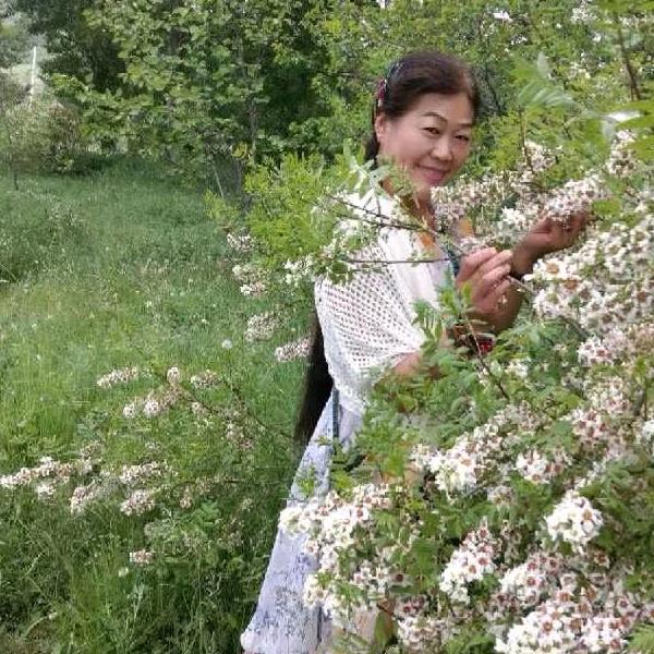 🌺腊个儿🌺