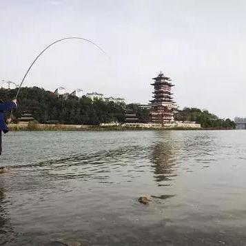 老左先生的小店