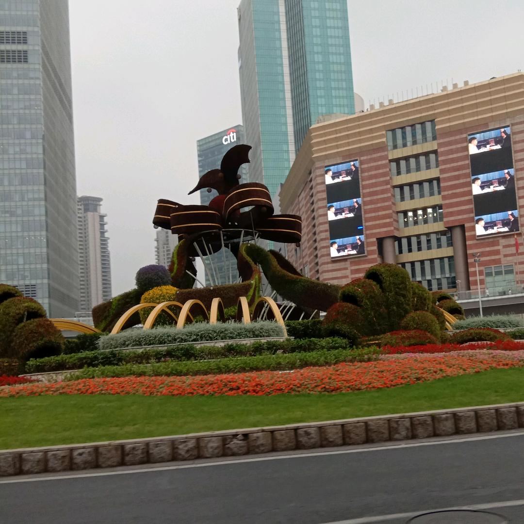 燕子飞飞^0^^0^（手机摄影）