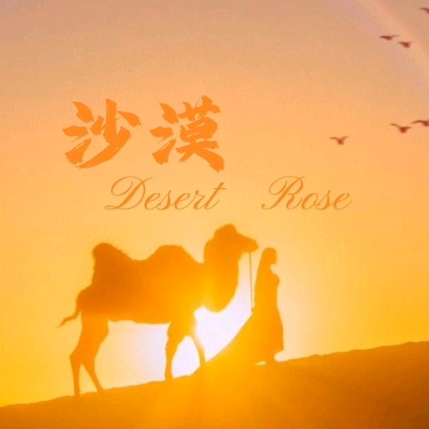 ✨沙漠🐫🌵