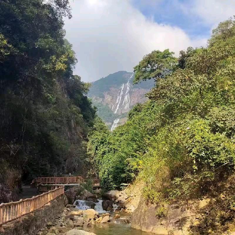 游龙