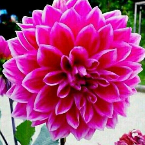 春暖花开