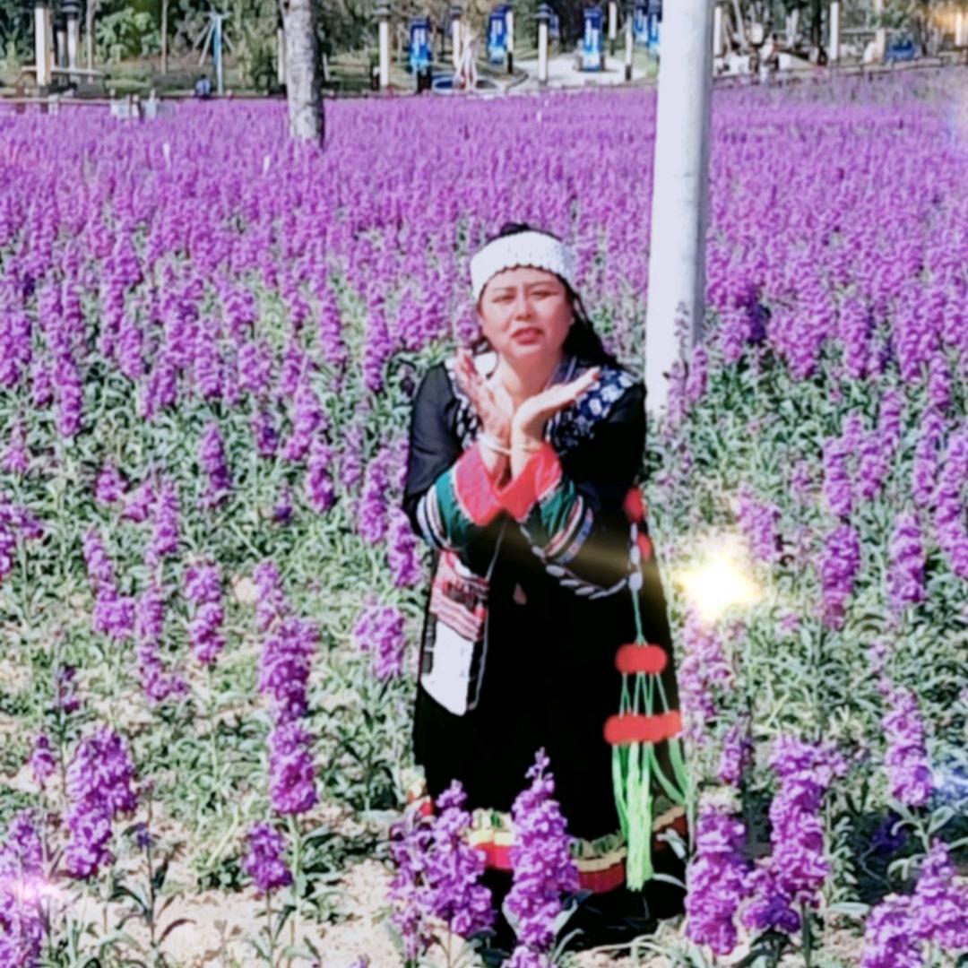 蓝色妖姬