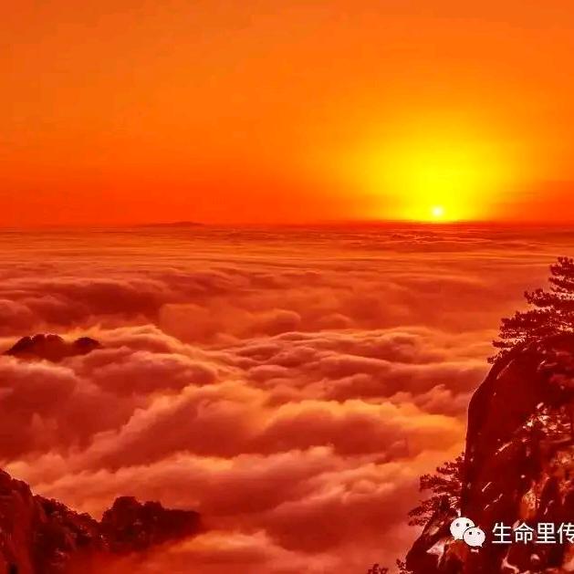 春夏秋冬，时光漫漫
