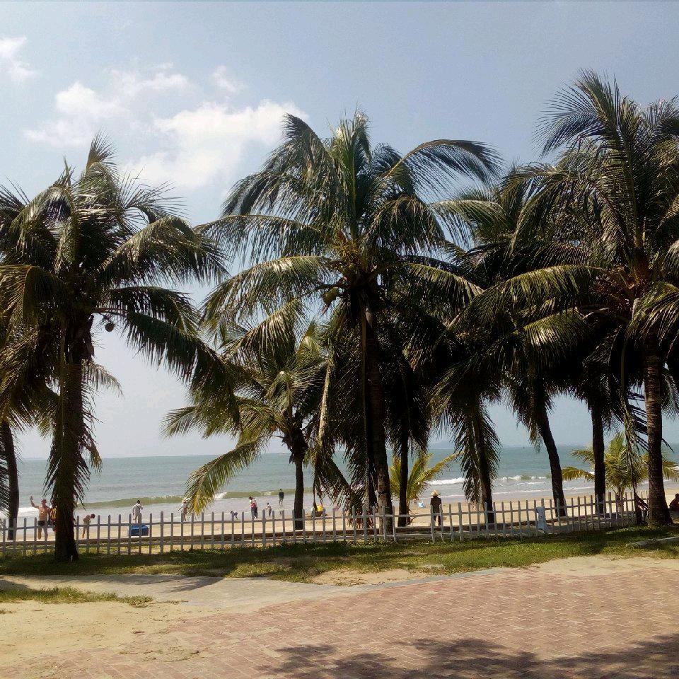 春风杨柳万千条