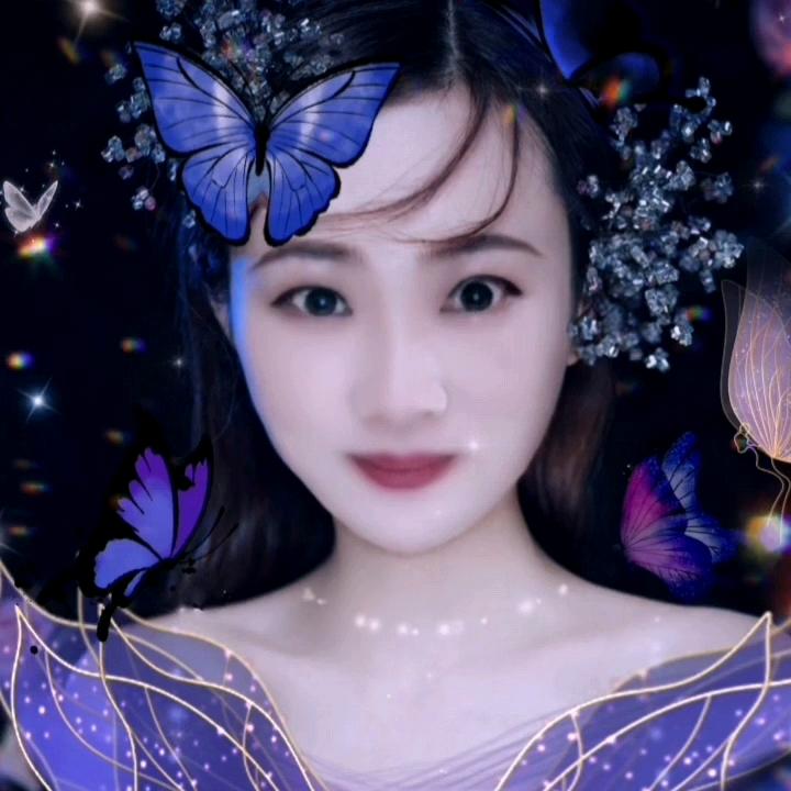 月是故乡的圆