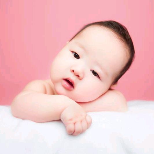 织梦浩博家纺服饰