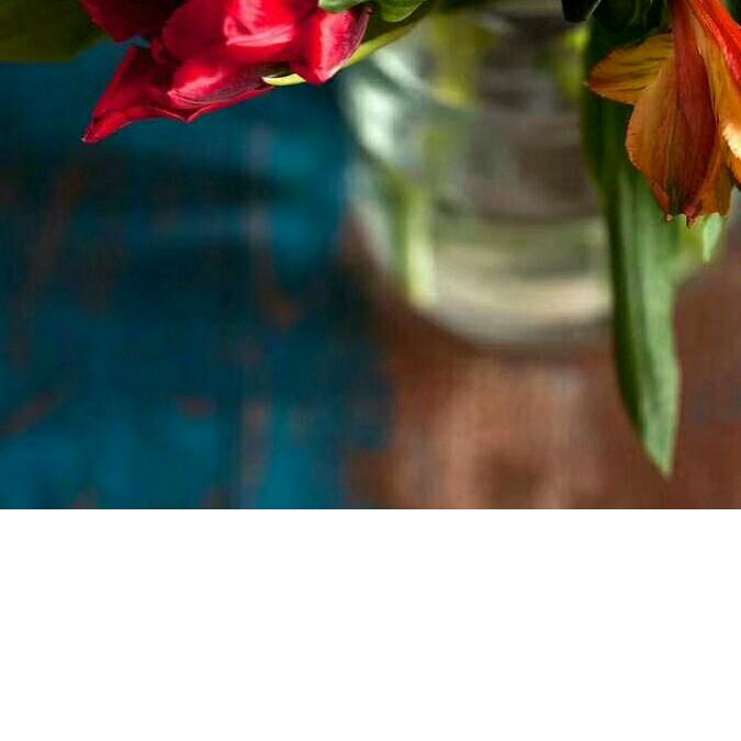 手机用户6925459194