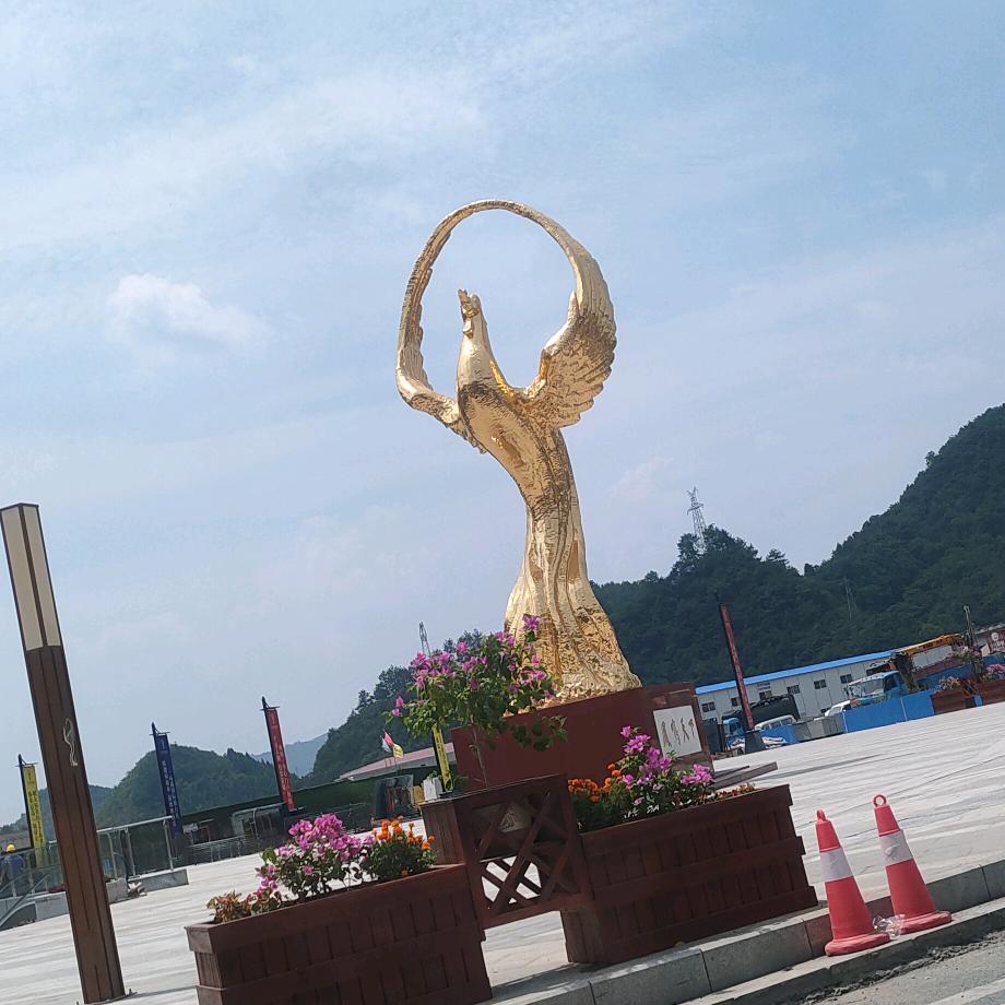 卉着理想