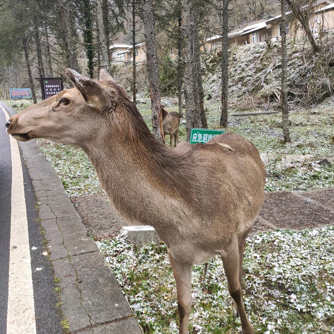 探路者