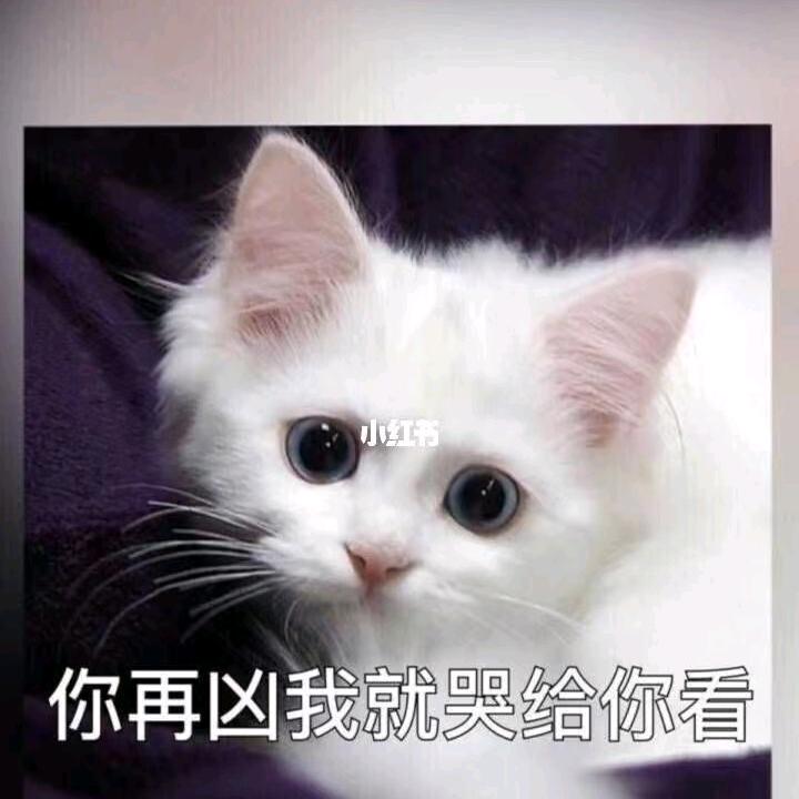 爱你永不变