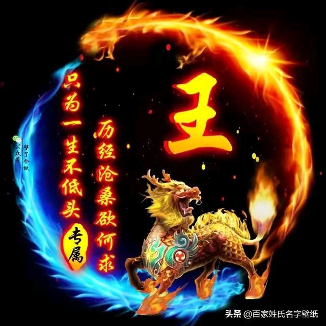 洪哥音乐集