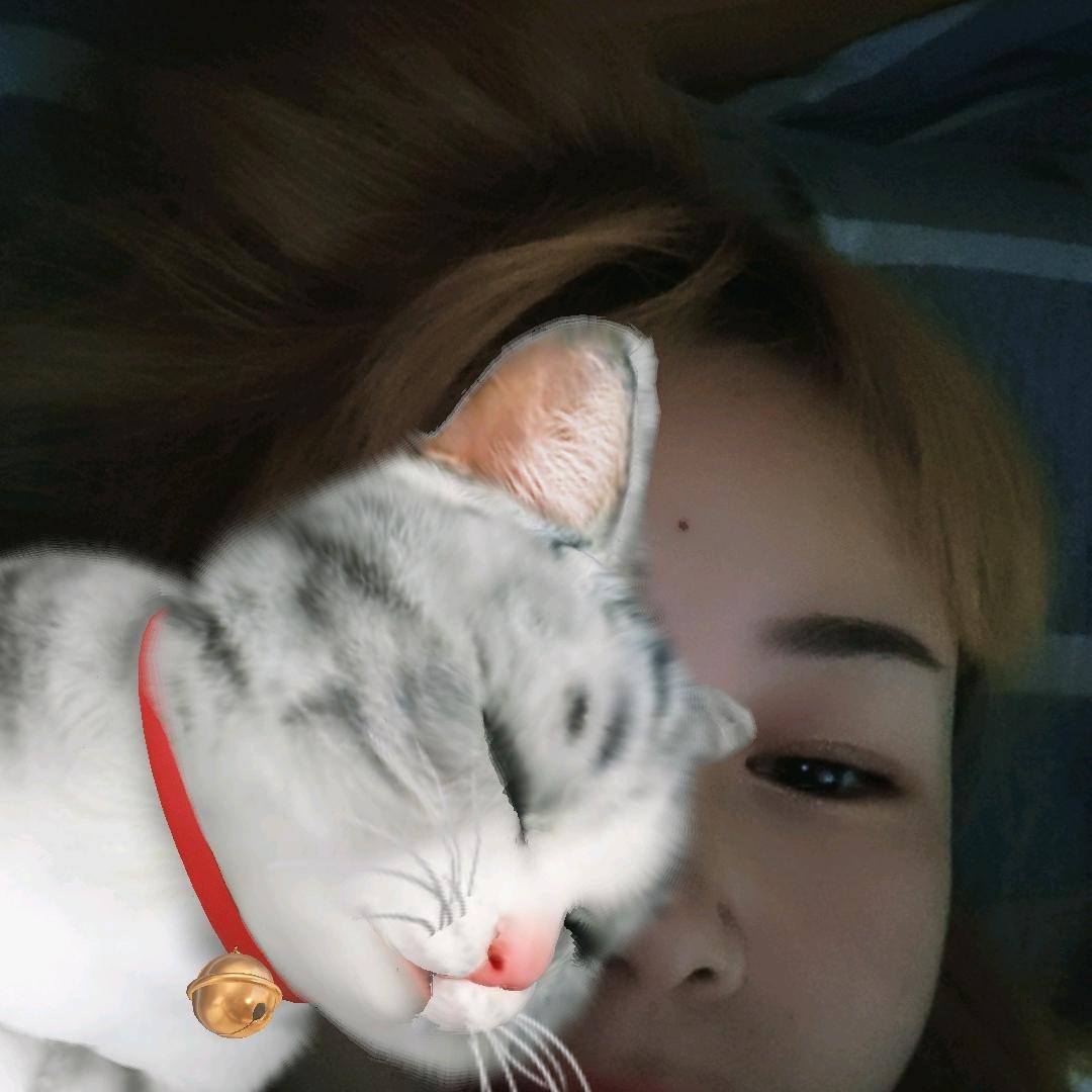 ♛记忆里的记忆