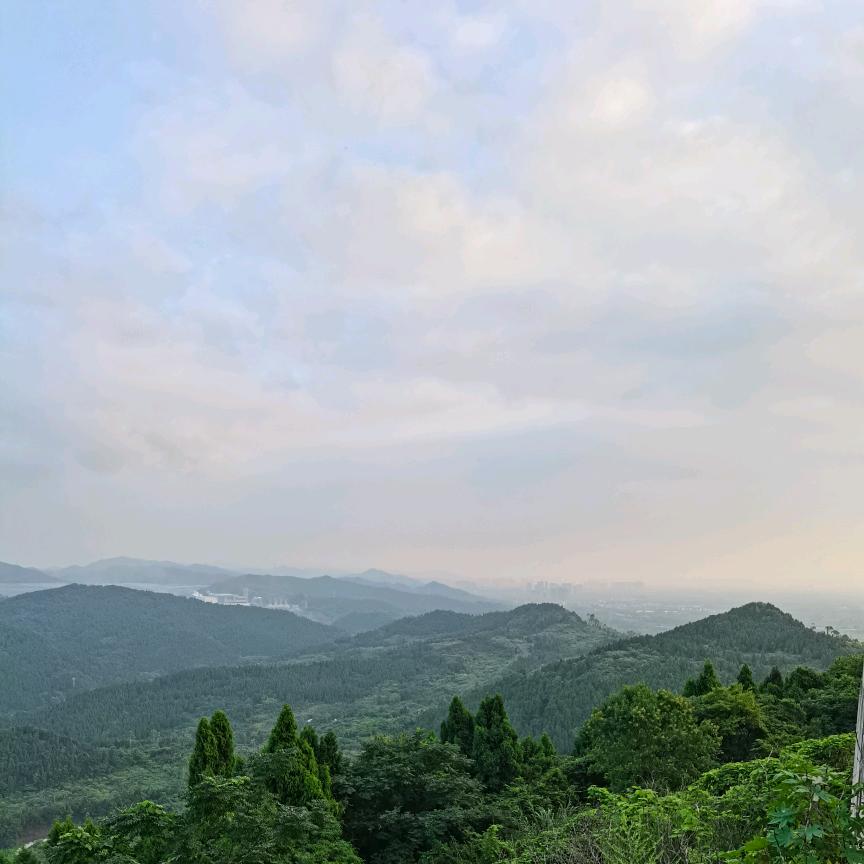 相濡以沫