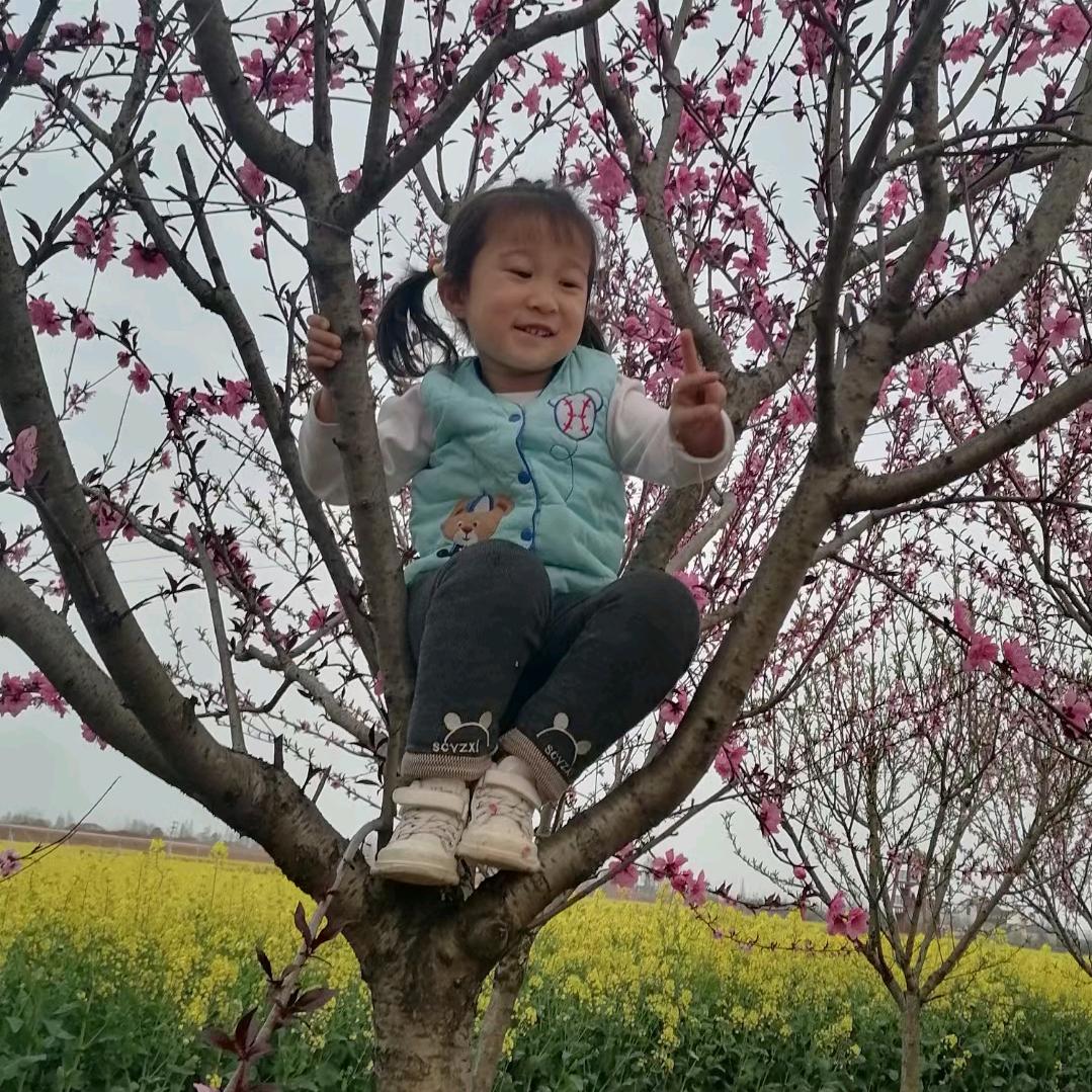 小毛毛