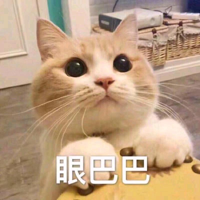 黑粉小队长（只送灯牌）