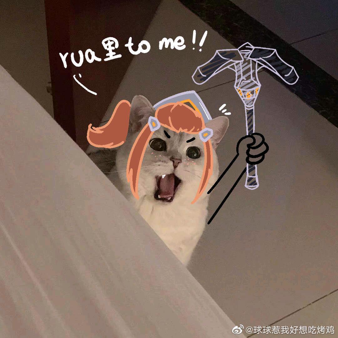 高高高高高高高斯