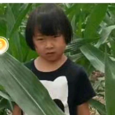 袁泽涵