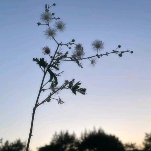 夕阳下的奔跑